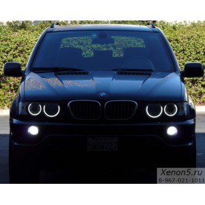 Светодиодные LED маркеры в Ангельские глазки BMW E53 X5 - 120 Ватт